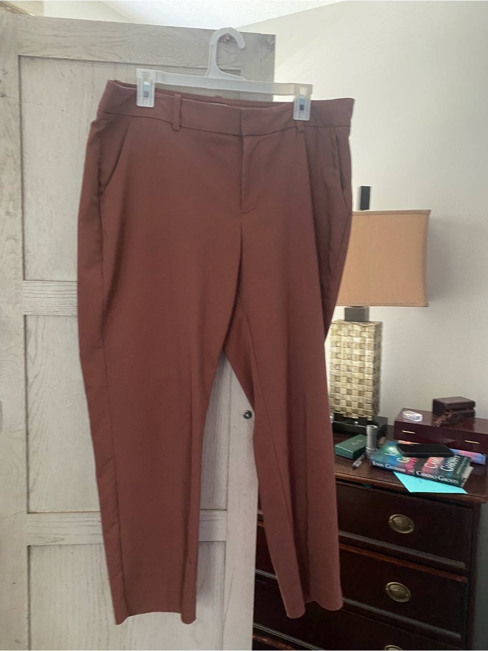 a new day Cropped Tailored Pants in Rust